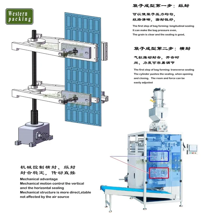 seeds pouch packing machine